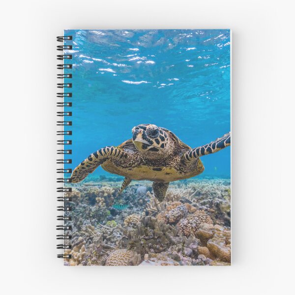 Item preview, Hawksbill Turtle designed and sold by colindavisphoto.