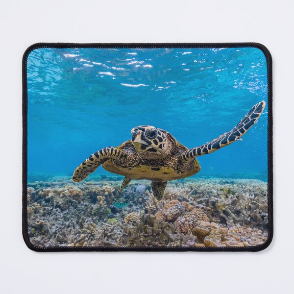 Item preview, Hawksbill Turtle designed and sold by colindavisphoto.