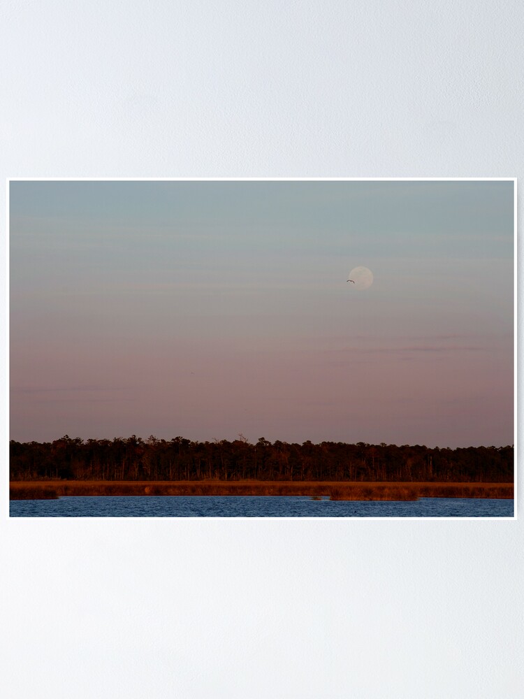 Moon over the Bayou Poster for Sale by Jonicool