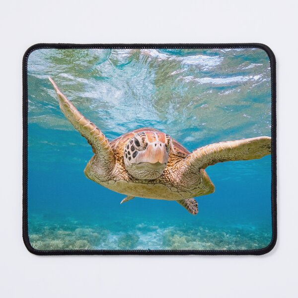 Item preview, Colourful Green Turtle  designed and sold by colindavisphoto.