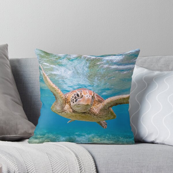 Item preview, Colourful Green Turtle  designed and sold by colindavisphoto.