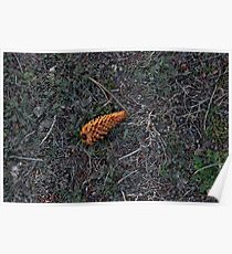 Lonely Pinecone Poster