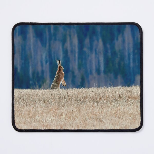 Item preview, Is it safe here. European hare designed and sold by Jouko Lehto Photography.