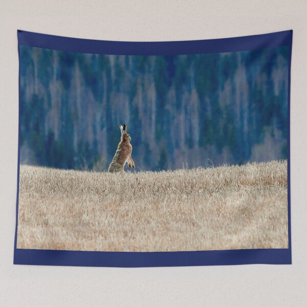 Item preview, Is it safe here. European hare designed and sold by Jouko Lehto Photography.