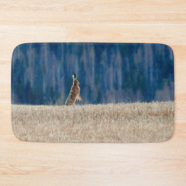 Item preview, Is it safe here. European hare designed and sold by Jouko Lehto Photography.
