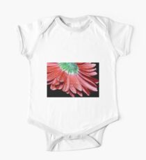 Red Gerbera Flower Short Sleeve Baby One-Piece