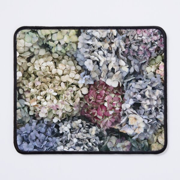 Item preview, Dried Hydrangeas designed and sold by wallflowernz.