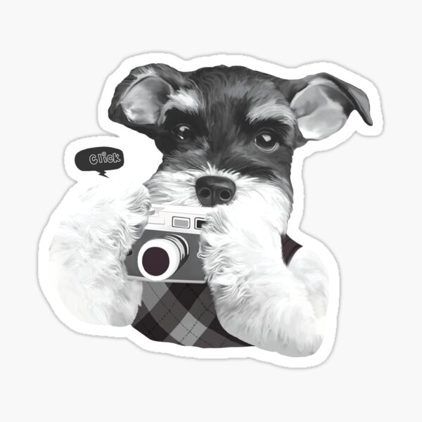 Schnauzer with Camera Sticker