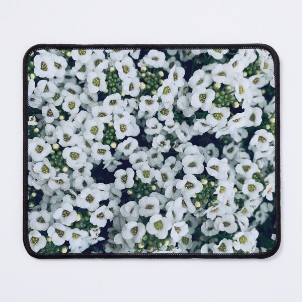 Item preview, Dainty Alyssum designed and sold by wallflowernz.