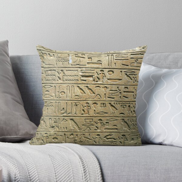 Ancient Egyptian Art: Hieroglyphs on the Stele Minnakht from c. 1321 BC Throw Pillow