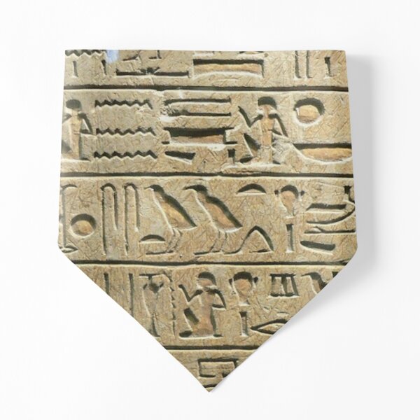 Ancient Egyptian Art: Hieroglyphs on the Stele Minnakht from c. 1321 BC Pet Bandana