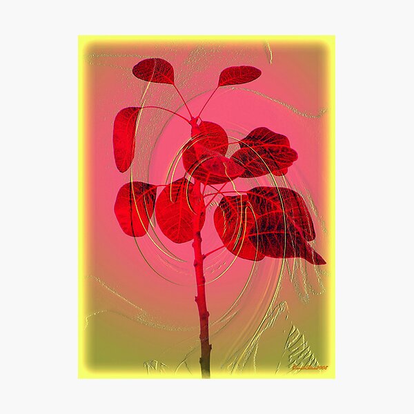 Tree of Love Photographic Print
