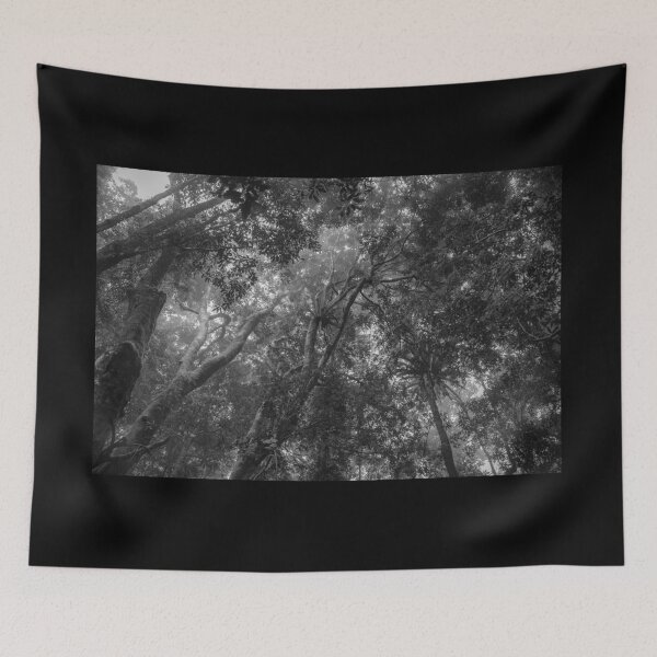 Item preview, Look Up again designed and sold by Clare Colins.