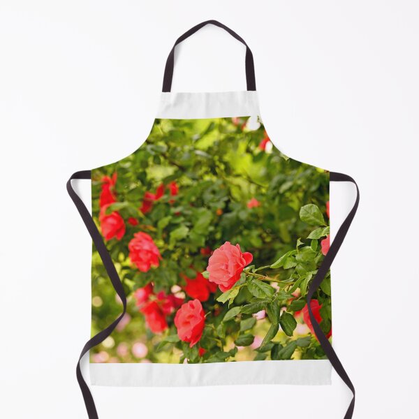 Item preview, Red roses in Volksgarten Vienna spring season designed and sold by goceris.