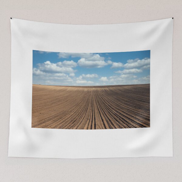 Item preview, plowed field in Voivodina Serbia landscape designed and sold by goceris.