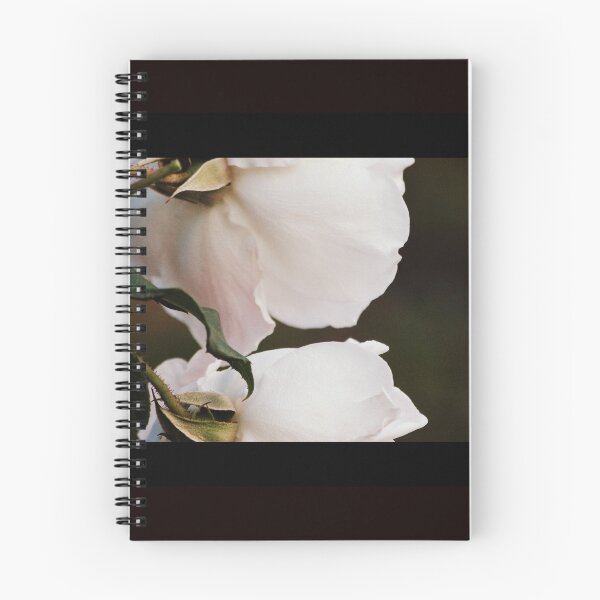 Item preview, Dreamy by Lorraine McCarthy designed and sold by Lozzar Flowers & Art.