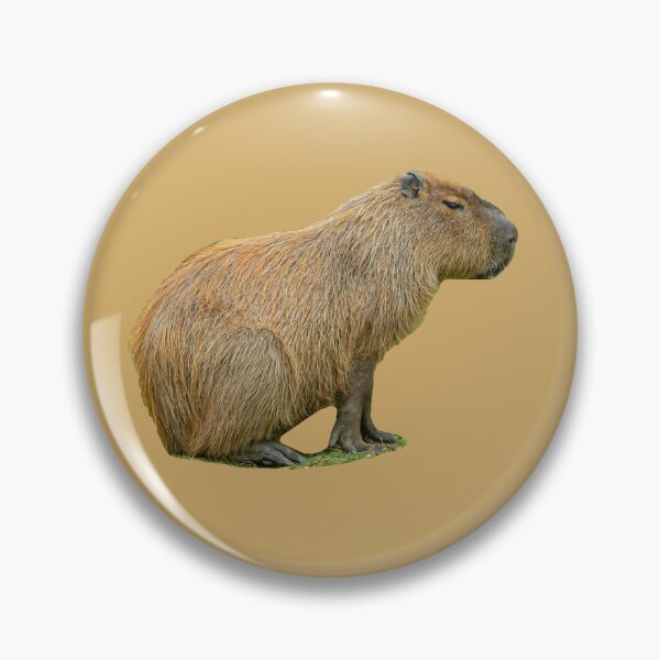 Item preview, Capy relaxing designed and sold by Dalyndigital Photography.