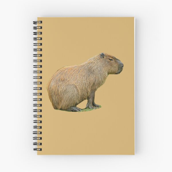 Item preview, Capy relaxing designed and sold by Dalyndigital Photography.