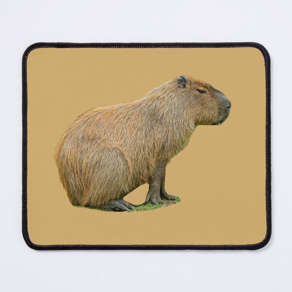 Item preview, Capy relaxing designed and sold by Dalyndigital Photography.