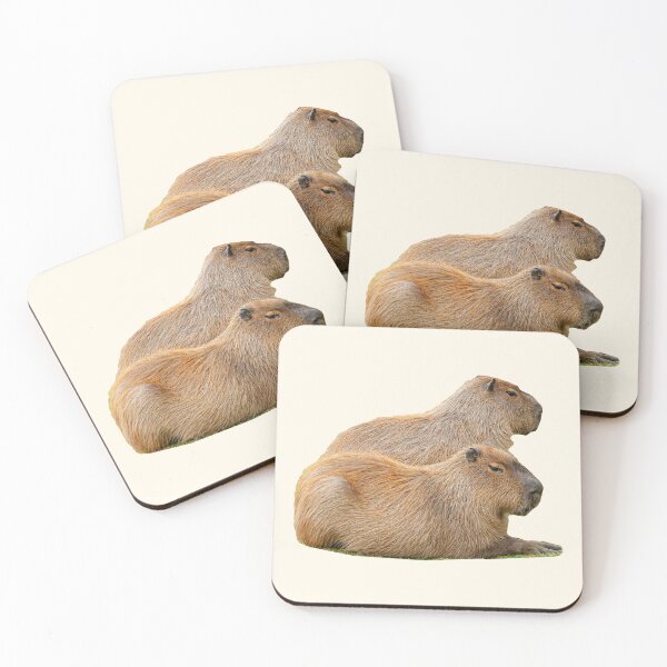 Item preview, Whats better than One Capybara, two Capys designed and sold by Dalyndigital Photography.