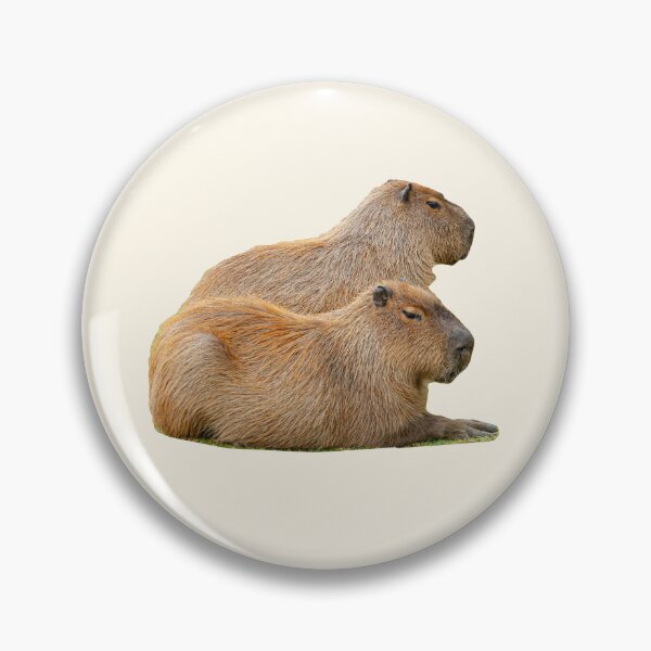 Item preview, Whats better than One Capybara, two Capys designed and sold by Dalyndigital Photography.