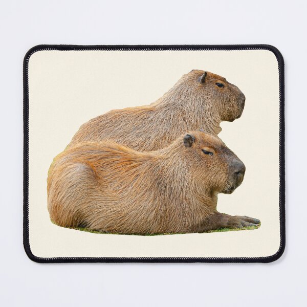 Item preview, Whats better than One Capybara, two Capys designed and sold by Dalyndigital Photography.