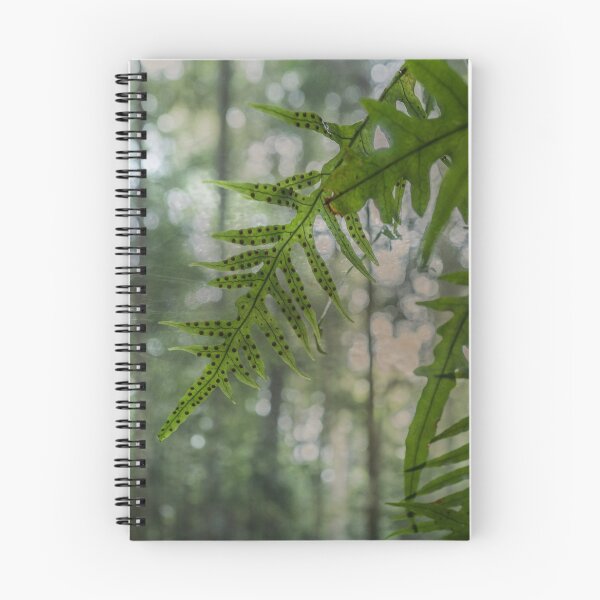 Item preview, Ferns in the Forest designed and sold by Clare Colins.