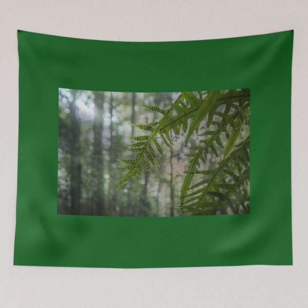 Item preview, Ferns in the Forest designed and sold by Clare Colins.