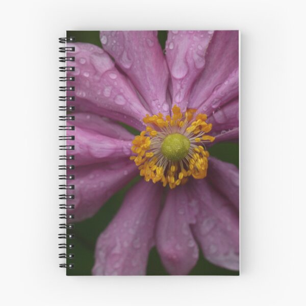 Item preview, When the Rain Came 2 designed and sold by beeden.
