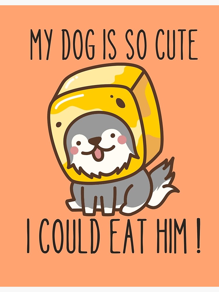 MY DOG IS SO CUTE I COULD EAT HIM !