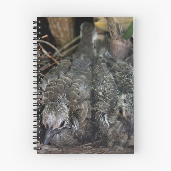 Item preview, My Dove Babies designed and sold by heatherfriedman.