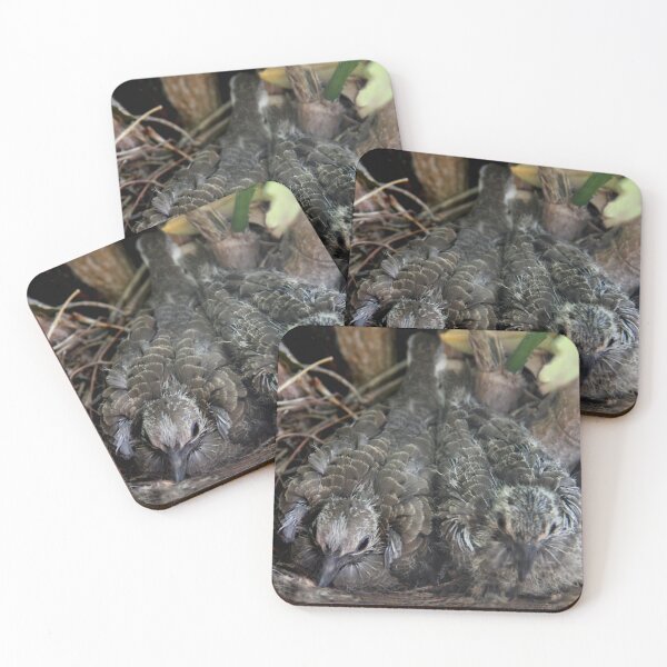 Item preview, My Dove Babies designed and sold by heatherfriedman.