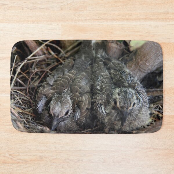 Item preview, My Dove Babies designed and sold by heatherfriedman.