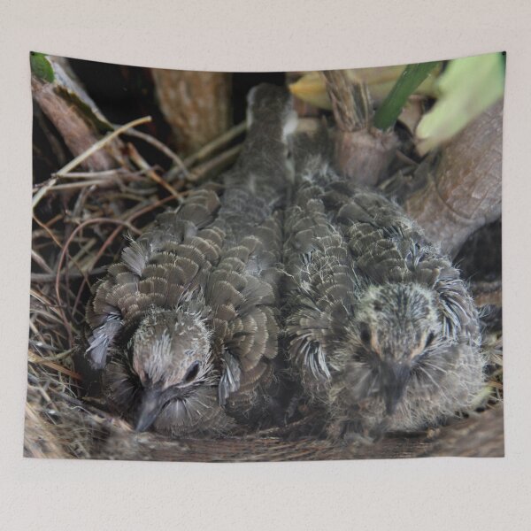Item preview, My Dove Babies designed and sold by heatherfriedman.