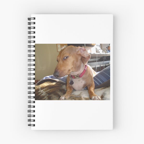 Item preview, Side eye dog tiktok meme  designed and sold by IronmanBTW.