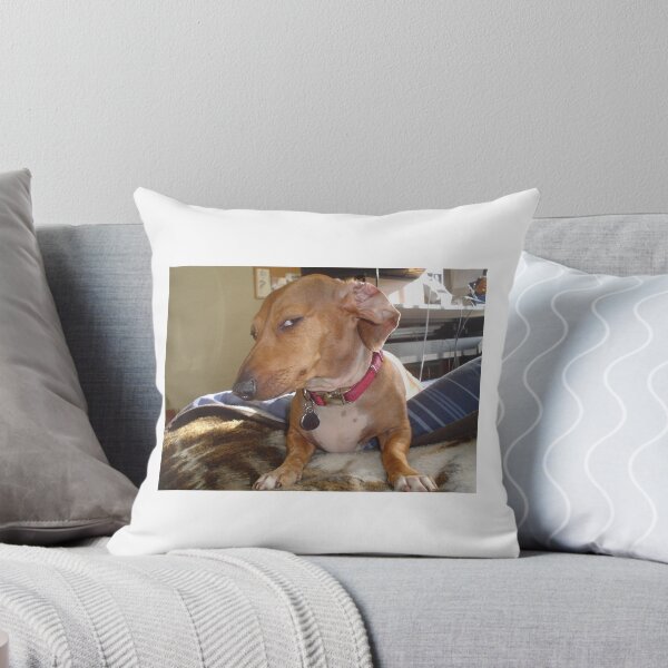 Item preview, Side eye dog tiktok meme  designed and sold by IronmanBTW.