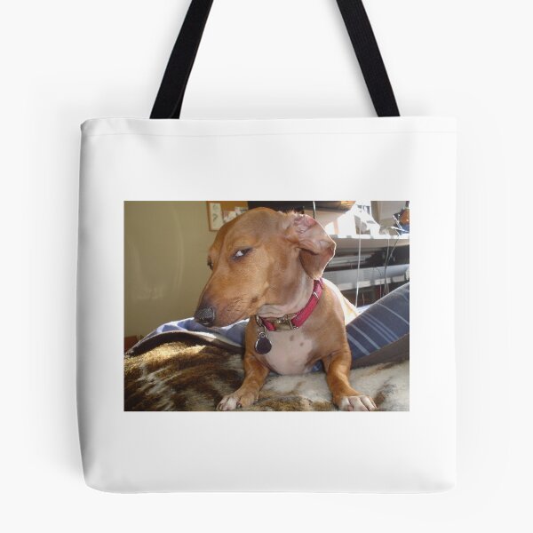 Item preview, Side eye dog tiktok meme  designed and sold by IronmanBTW.