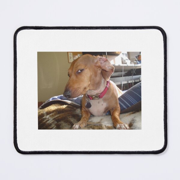 Item preview, Side eye dog tiktok meme  designed and sold by IronmanBTW.