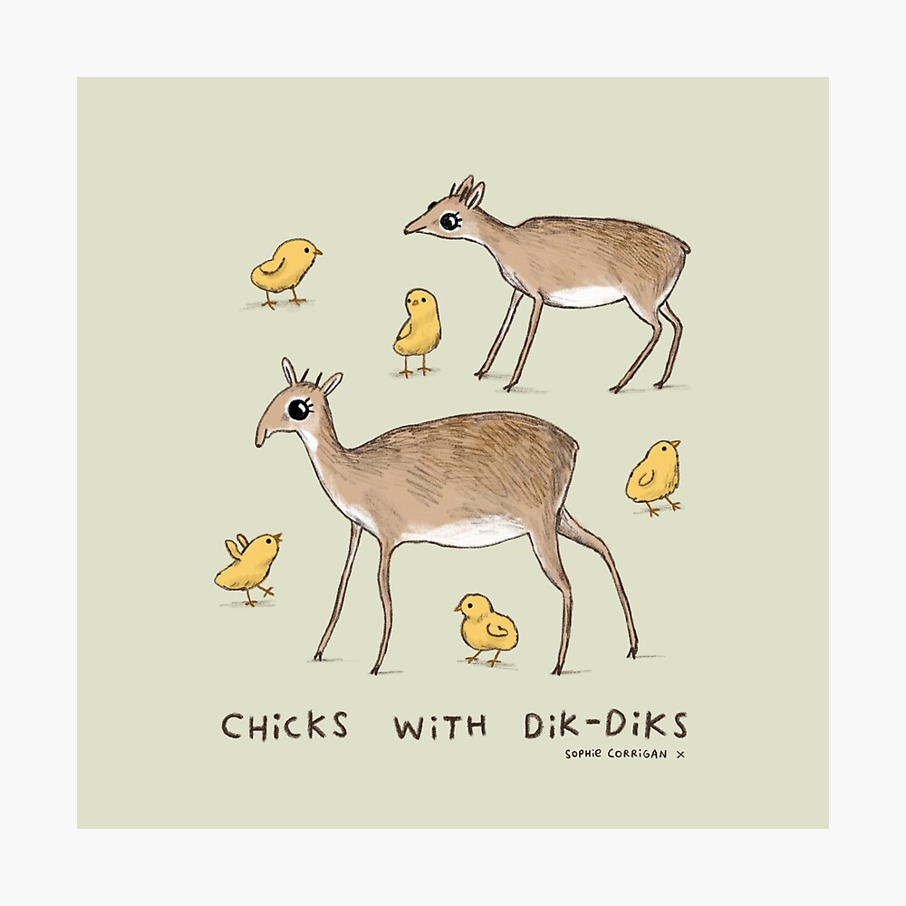 Chicks With Dik-Diks