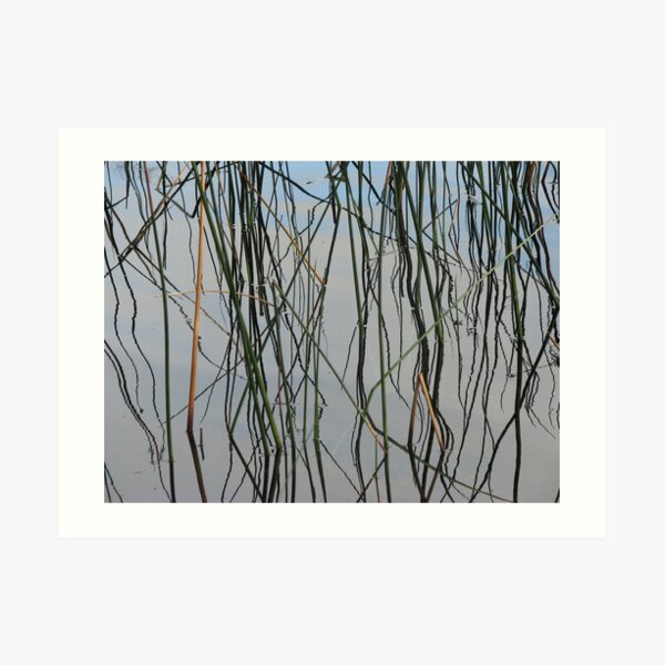 Wobbly Reeds Art Print