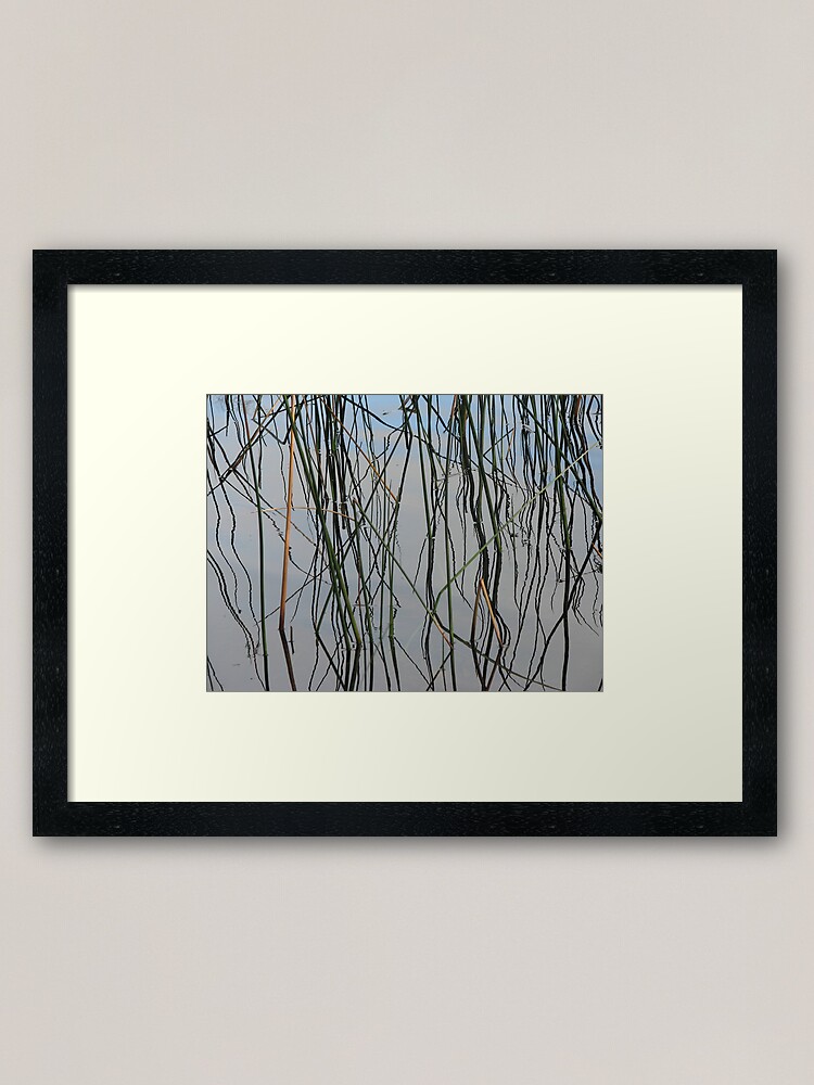 Alternate view of Wobbly Reeds Framed Art Print
