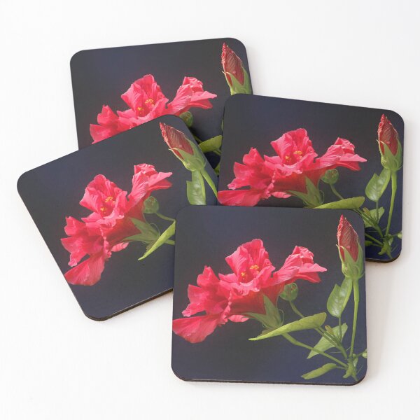 Aperçu de l'œuvre Fleur tropicale d'hibiscus rouge et bourgeon créée et vendue par Anna Lemos.