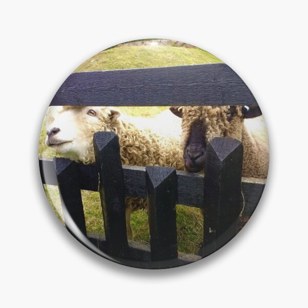 Item preview, #168 |☼| Sheep Peeking Through Fence (Elsham Hall, Gardens & Country Park) designed and sold by Naean H.F. (Nez Man).