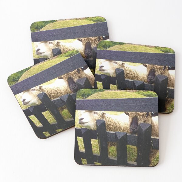 Item preview, #168 |☼| Sheep Peeking Through Fence (Elsham Hall, Gardens & Country Park) designed and sold by Naean H.F. (Nez Man).