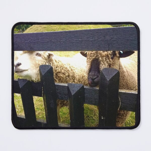 Item preview, #168 |☼| Sheep Peeking Through Fence (Elsham Hall, Gardens & Country Park) designed and sold by Naean H.F. (Nez Man).