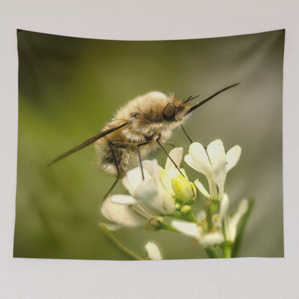 Item preview, Macro photography of a wool floater designed and sold by BBPGallery.