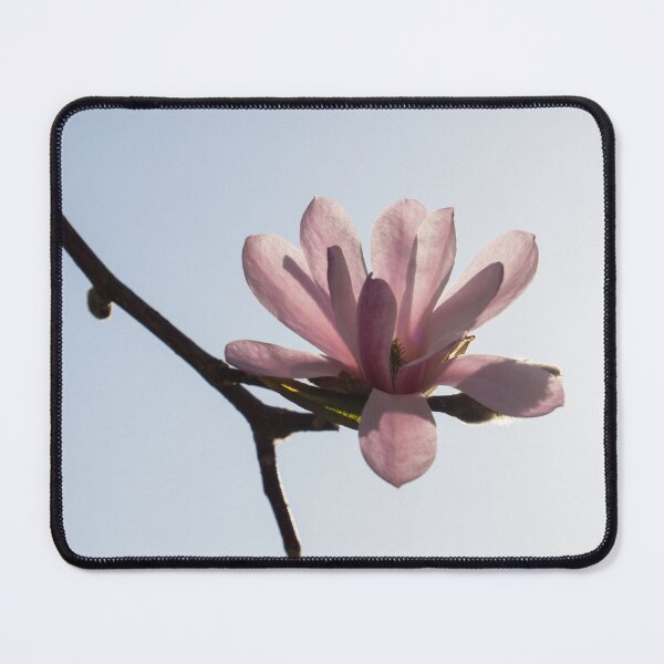 Item preview, A Single Magnolia Blossom - Happy Springtime Floral designed and sold by Georgia Mizuleva.