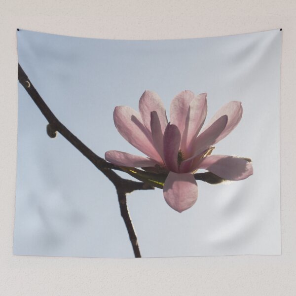Item preview, A Single Magnolia Blossom - Happy Springtime Floral designed and sold by Georgia Mizuleva.