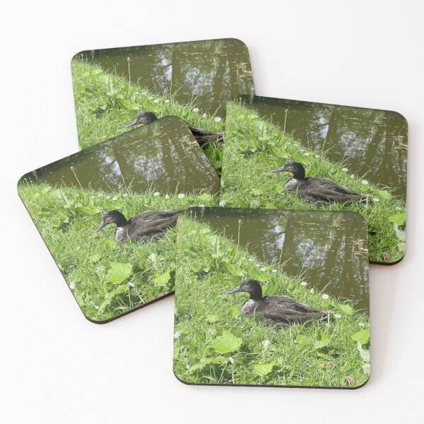 Item preview, Danish Duck by the Waters • 2022 designed and sold by Mortinus.