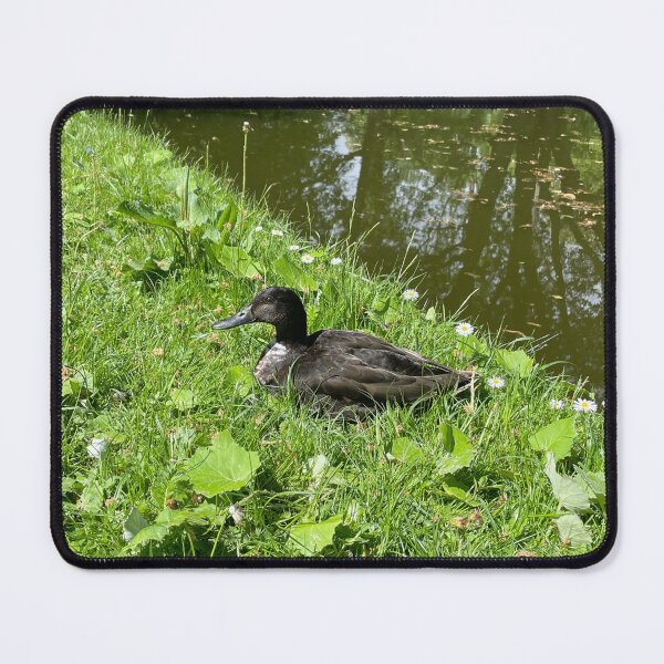Item preview, Danish Duck by the Waters • 2022 designed and sold by Mortinus.